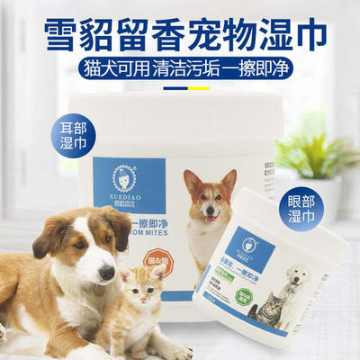 2019“尖叫”寵物界領(lǐng)袖大會(huì)盛況空前，頭部品牌商共繪行業(yè)發(fā)展新藍(lán)圖